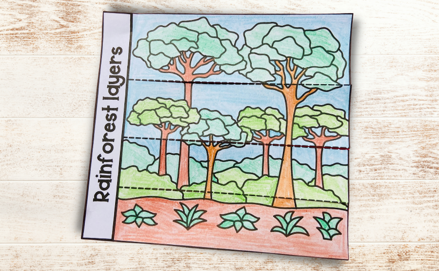 A horizontal flipbook showing the layers of the rainforest to use in a science or geography lapbook 