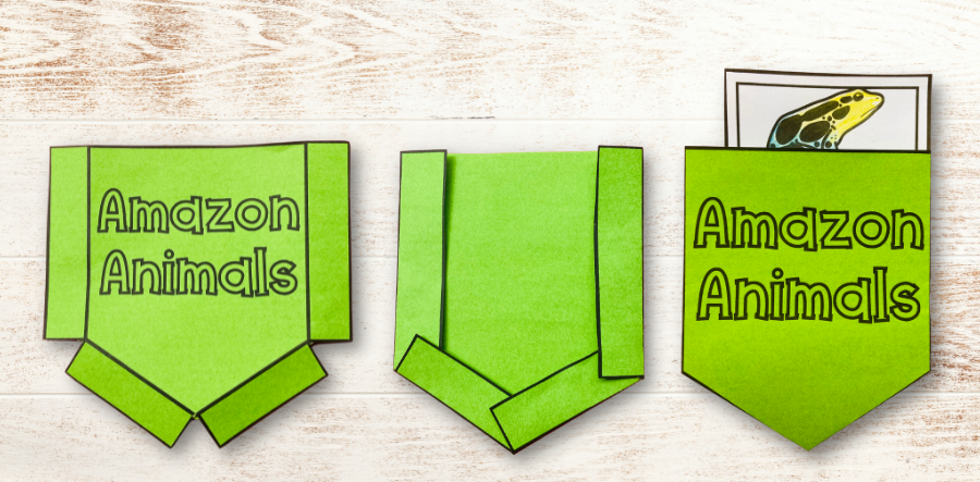 Foldable activity ideas for science lapbooks