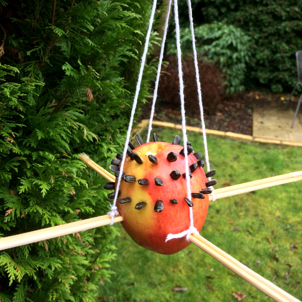 An apple bird feeder in a garden made with an apple and black sunflower seeds.