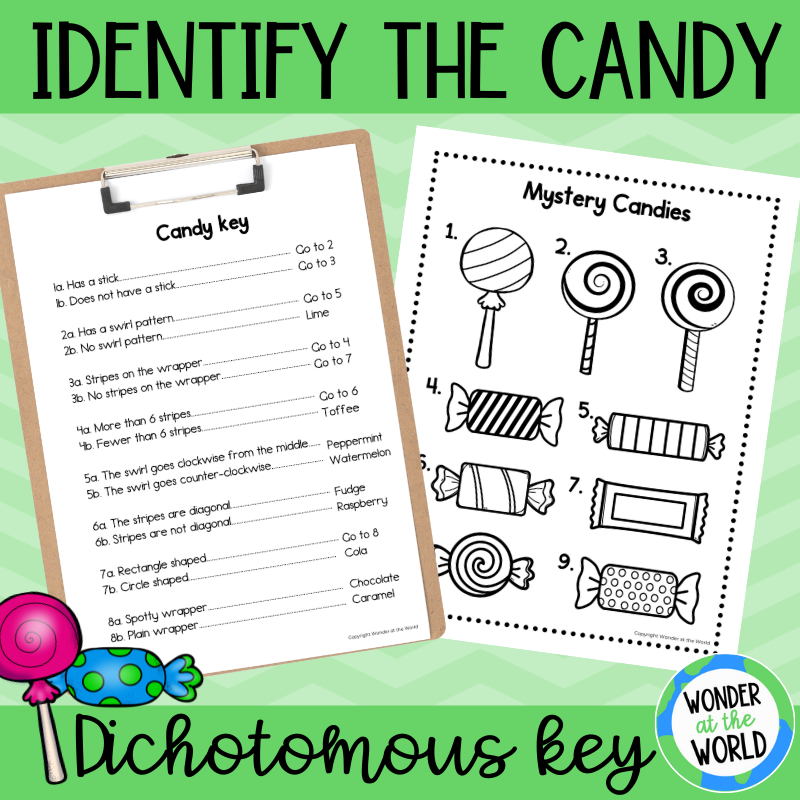 Free identify the candy worksheet