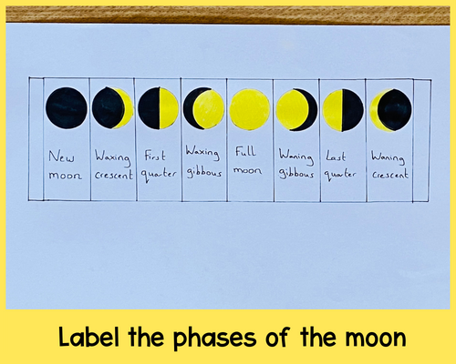 Labelling the 8 moon phases