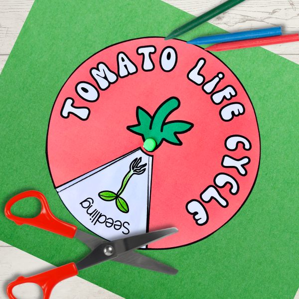 free tomato life cycle spinner PDF