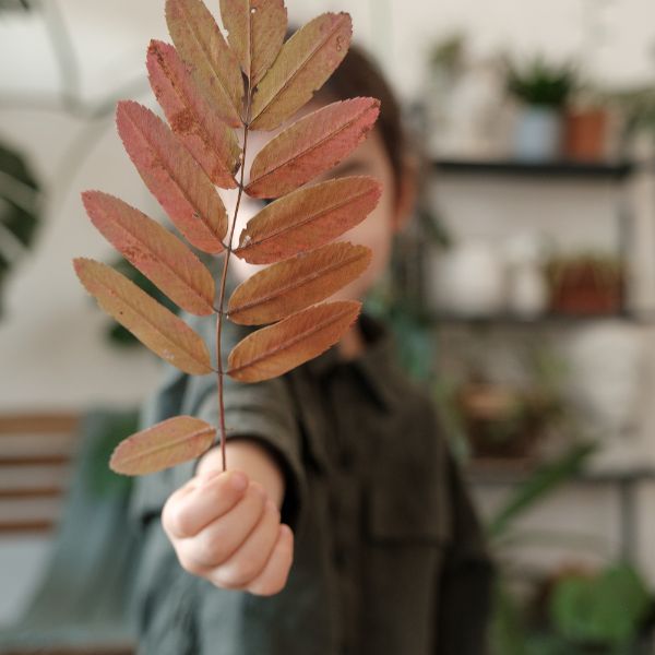 Child holding leaf. Nature table ideas.
