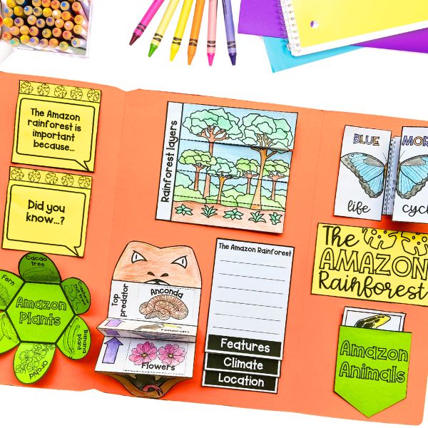 Foldable activity ideas for science lapbooks