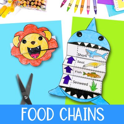 Food chains category