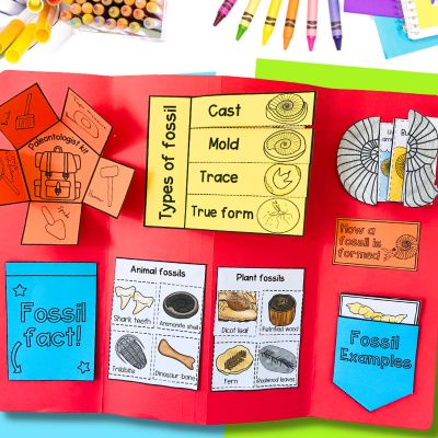 Fossils lapbook with different activities