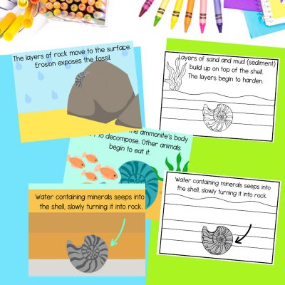 How a fossil is formed printable cards to sequence