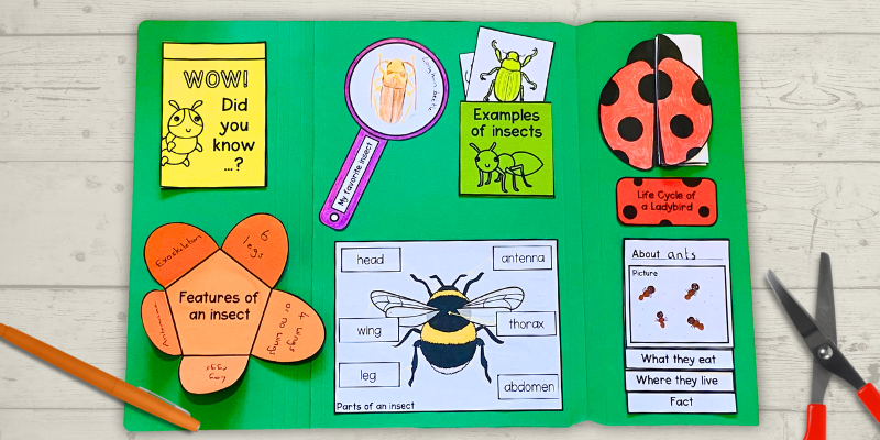 Insects science lapbook