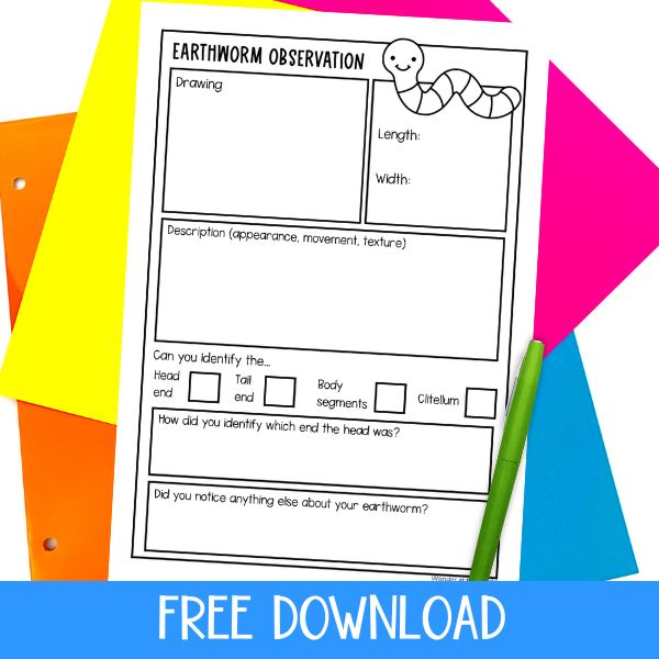 Earthworm observation sheet for students to record their findings on