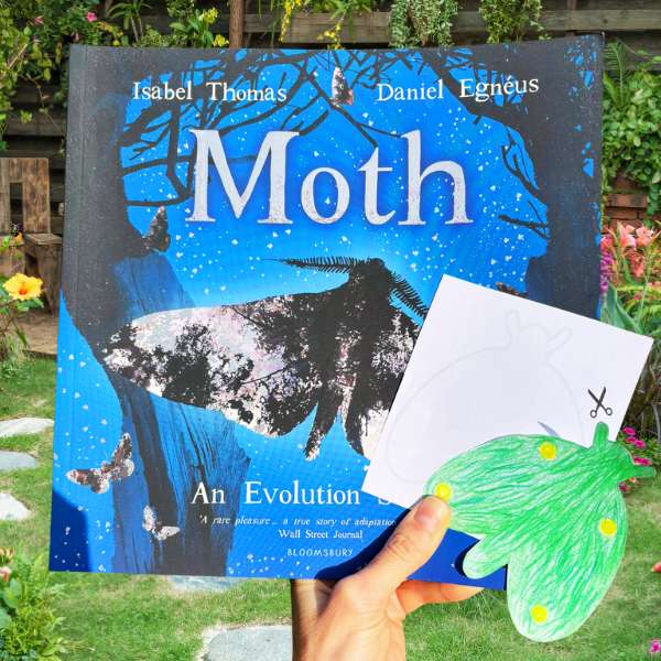 Butterfly moth camouflage activity for kids